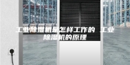 工业除湿机是怎样工作的 工业除湿机的原理
