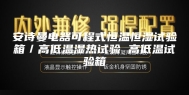 安诗曼电器可程式恒温恒湿试验箱／高低温湿热试验 高低温试验箱