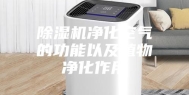 除湿机净化空气的功能以及植物净化作用