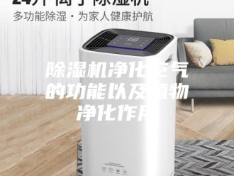 企业新闻除湿机净化空气的功能以及植物净化作用