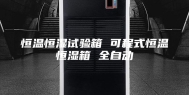 恒温恒湿试验箱 可程式恒温恒湿箱 全自动