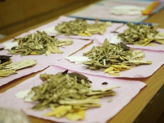 企业新闻烘干机助力中药材烘干