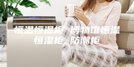 恒温恒湿柜 博物馆恒温恒湿柜 防潮柜