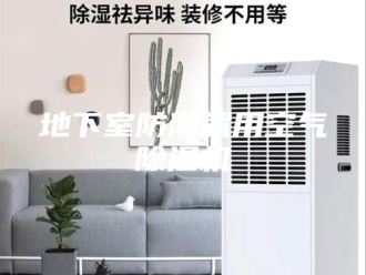 行业新闻地下室防潮就用空气除湿机
