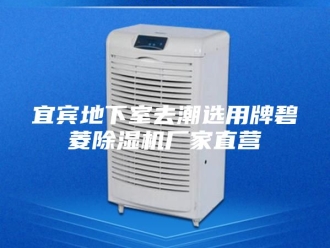 行业新闻宜宾地下室去潮选用牌碧菱除湿机厂家直营