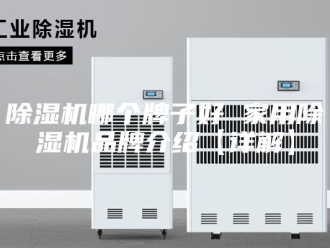 企业新闻除湿机哪个牌子好 家用除湿机品牌介绍【详解】