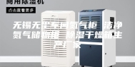 无锡无尘车间氮气柜 洁净氮气储物柜 除湿干燥箱生产厂家