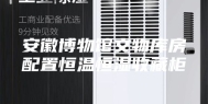 安徽博物馆文物库房配置恒温恒湿收藏柜