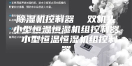 除湿机控制器  双机头小型恒温恒湿机组控制器 小型恒温恒湿机组控制器
