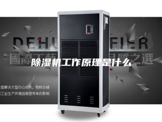 企业新闻除湿机工作原理是什么