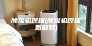 除湿机原理(除湿机原理图解释)