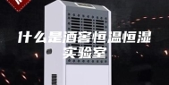 什么是酒窖恒温恒湿实验室