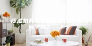 除湿机有必要购买吗，哪个牌子好？  ？