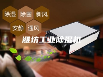 行业新闻潍坊工业除湿机