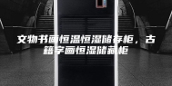 文物书画恒温恒湿储存柜，古籍字画恒湿储藏柜