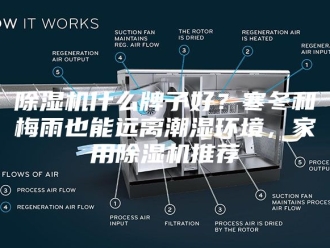 企业新闻除湿机什么牌子好？寒冬和梅雨也能远离潮湿环境，家用除湿机推荐