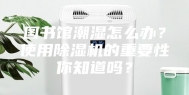 图书馆潮湿怎么办？使用除湿机的重要性你知道吗？