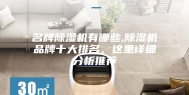 名牌除湿机有哪些,除湿机品牌十大排名，这里详细分析推荐