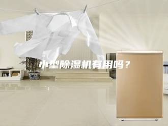 行业新闻小型除湿机有用吗？