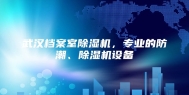 武汉档案室除湿机，专业的防潮、除湿机设备