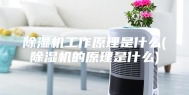 除湿机工作原理是什么(除湿机的原理是什么)