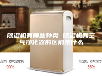 企业新闻除湿机有哪些种类 除湿机和空气净化器的区别是什么