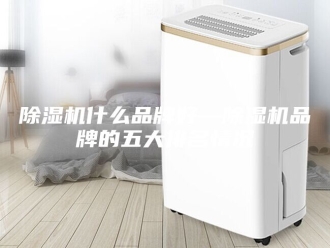企业新闻除湿机什么品牌好—除湿机品牌的五大排名情况
