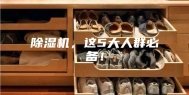 除湿机，这5大人群必备！