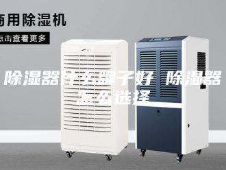 知识百科除湿器什么牌子好 除湿器怎么选择