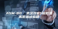 ASM-80  武汉双85超低温高低温试验箱