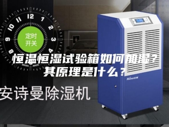 常见问题恒温恒湿试验箱如何加湿？其原理是什么？