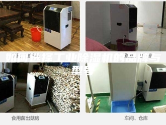 行业新闻如何选择工业除湿机的品牌与型号