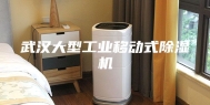 武汉大型工业移动式除湿机