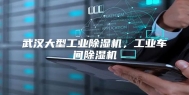 武汉大型工业除湿机，工业车间除湿机