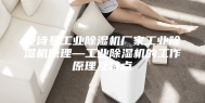 安诗曼工业除湿机厂家工业除湿机原理—工业除湿机的工作原理及特点