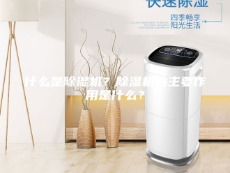 常见问题什么是除湿机？除湿机的主要作用是什么？