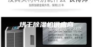 烘干除湿机供应商