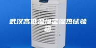 武汉高低温恒定湿热试验箱