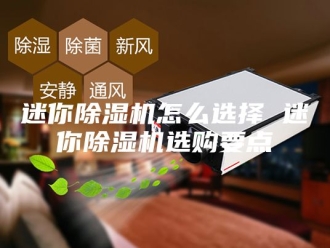 企业新闻迷你除湿机怎么选择 迷你除湿机选购要点