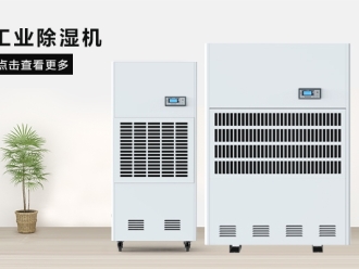 知识百科这间热带雨林办公室，不潮湿不下雨还让员工忘记了在工作