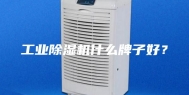 工业除湿机什么牌子好？