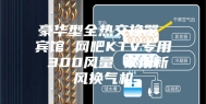 豪华型全热交换器 宾馆 网吧KTV专用 300风量 家用新风换气机