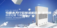 乌鲁木齐17款除湿机价格-家用除湿机厂家