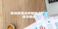 电热恒温培养箱的工作原理及用途