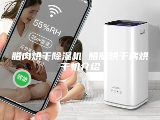 行业新闻腊肉烘干除湿机 腊肠烘干房烘干机介绍