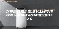 双冷高效热泵型地下工程专用除湿空调机组ASM30-60FZR