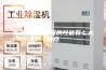 恒温恒湿培养箱的性能有七大特点
