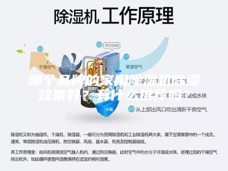 行业新闻哪个品牌的家用除湿机除湿效果好？有什么推荐吗？