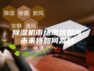 企业新闻除湿机市场现状如何未来将如何发展