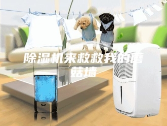 企业新闻除湿机来救救我的蘑菇墙